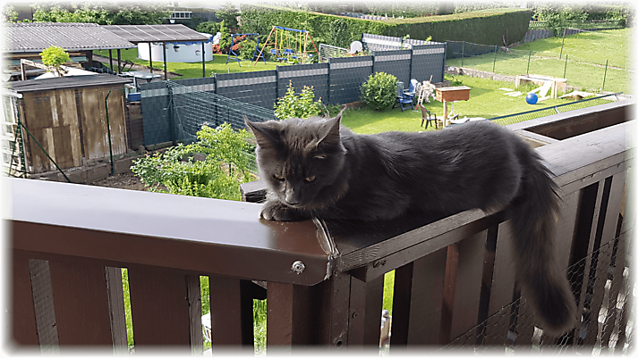 20180520_094951
