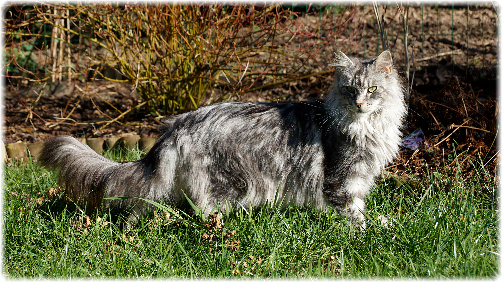Herzlichen Glückwunsch zum Geburtstag liebe Ivi! Herzlichen Glückwunsch zum Geburtstag liebe Ivi!